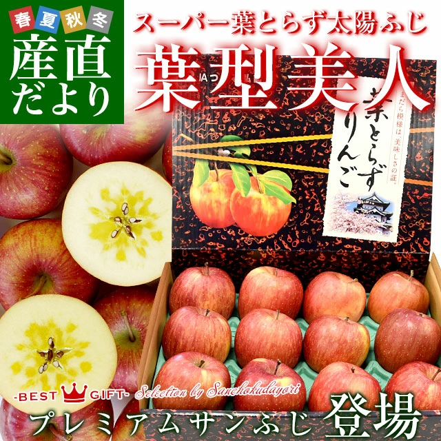 青森県より産地直送 JAつがる弘前 プレミアムサンふじ 葉型美人 (はかたびじん) 3キロ(10玉から13玉) 糖度14度以上 送料無料 林檎 りんご リンゴ お歳暮 ギフト