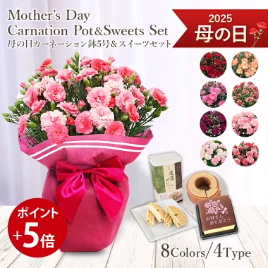 【ポイント5倍】【遅れてごめんね】 母の日 送料無料 楽天1位 カーネ スイーツ セット 8色から選べる カーネーション