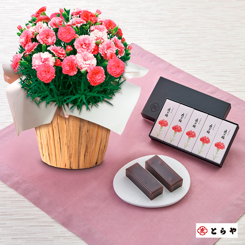 【母の日】生花モリヒロさくらもなか＆とらや母の日小形羊羹5本入