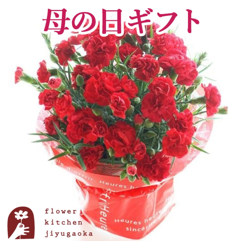 ＜母の日＞カーネーション 5号鉢 赤（品種おまかせ）