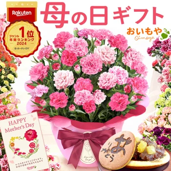 ＼15時までの注文で当日発送！／ 母の日 プレゼント 送料無料 花 生花 2025 ギフト