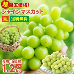 ＼楽天グルメ大賞受賞！予約開始！／ シャインマスカット 約1.2kg 2房 秀品 送料無料 長野・山梨産 大房 産地直送 皮ごと食べられる ブドウ 種なし ぶどう 最強翌日配送 | 高糖度 シャイン マスカット ブドウ 葡萄 甘い 贈り物 ギフト プレゼント 旬の味覚 フルーツ 常温発送