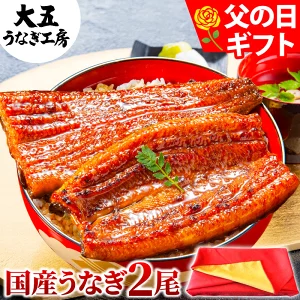 ＼早い者勝ち！250円クーポン／ 父の日 うなぎ 国産 長蒲焼2尾 ギフト 鰻 ウナギ 蒲焼 蒲焼き 誕生日 プレゼント 内祝 お祝い 出産内祝 結婚内祝 国内産 60代 70代 80代 食べ物 unagi グルメ お取り寄せ 食品 人気 早割