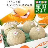 北海道より産地直送 ＪＡきょうわ らいでんメロン 赤肉 秀品 超大玉 8キロ（2キロ×4玉）送料無料 共和町 北海道メロン ギフト 夏ギフト お中元 御中元 のし対応可