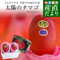 父の日ギフト 宮崎県より産地直送 JAみやざき宮崎中央地区本部 完熟マンゴー 太陽のタマゴ 2L×2玉 （350から449g×2玉） 父の日プレゼント 送料無料