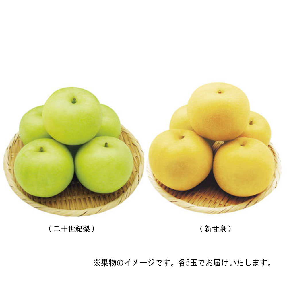 【敬老の日】＜西澤商店＞鳥取県産 二十世紀梨＆鳥取県産新甘泉食べ比べセット