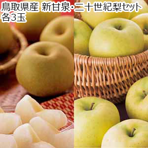 鳥取県産 新甘泉・二十世紀梨セット 各4玉【お届け期間：9月11日〜9月15日】【敬老の日】