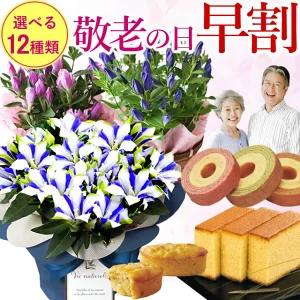 早割開催中 ◇楽天1位◇ 【敬老の日 ギフト 2025 送料無料】選べる敬老の日の鉢植え【白寿 りんどう お菓子セット スイーツセット】 毎年完売 敬老の日 ギフト 花 花とセット 還暦 古希 喜寿 傘寿 米寿 卒寿 白寿 紀寿 百寿