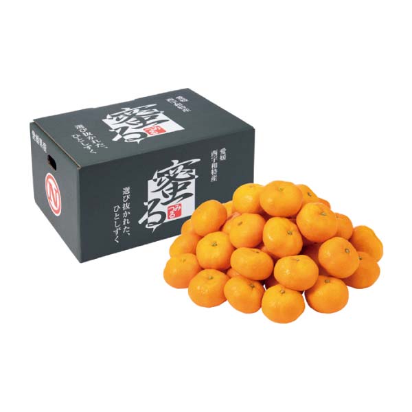 愛媛県産(JA西宇和みつる共選) 蜜るみかん(お届け期間：11/21〜12/31)【冬の贈りもの・お歳暮】