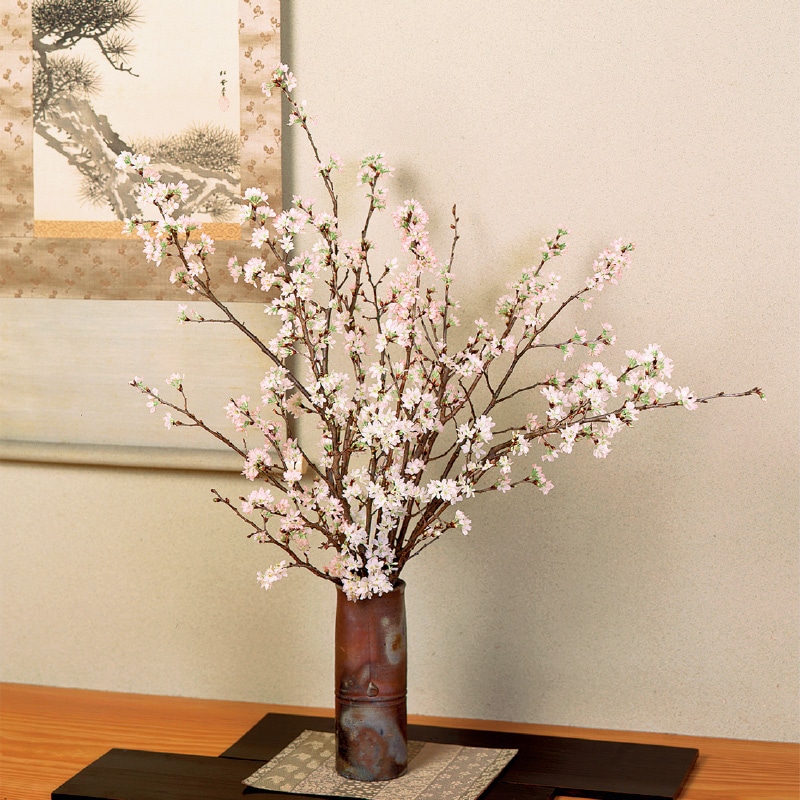 ＜お歳暮＞みちのく初桜（啓翁桜）