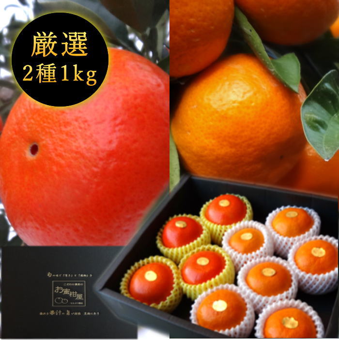 【先行予約受付中】【お歳暮】お蜜柑屋店長の厳選プレミアムギフト　黒の化粧箱　二種詰め合わせ　約１ｋｇ入