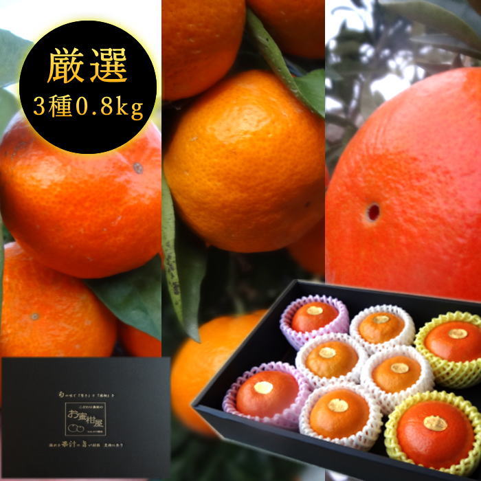 【先行予約受付中】【お歳暮】お蜜柑屋店長の厳選プレミアムギフト-極み- 黒の化粧箱　三種詰め合わせ（小）