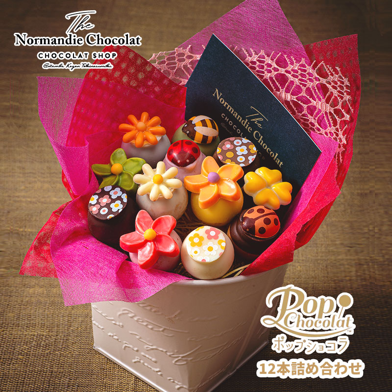 【常温発送】NC-2ポップショコラ詰め合わせ 12本入り《送料込》スイーツ 花のお菓子 かわいいお菓子プレゼント かわいいお菓子ギフト 可愛いお菓子 個包装 可愛いチョコ 棒付き おしゃれお菓子ギフト 美味しいチョコ チョコ チョコレート ギフト 誕生日プレゼントお菓子