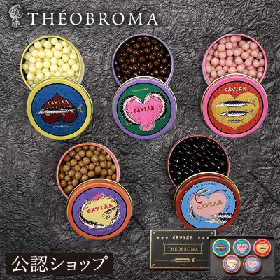 【A配送】テオブロマ ミニキャビア ギフト 洋菓子 詰め合わせ 贈り物 プレゼント チョコ 缶 チョコ お菓子 おしゃれ かわいい 送料無料 チョコレート スイーツ プチギフト 土屋公二 土屋シェフ バレンタイン 2026 本命 義理 バレンタインチョコ　デパ地下で人気