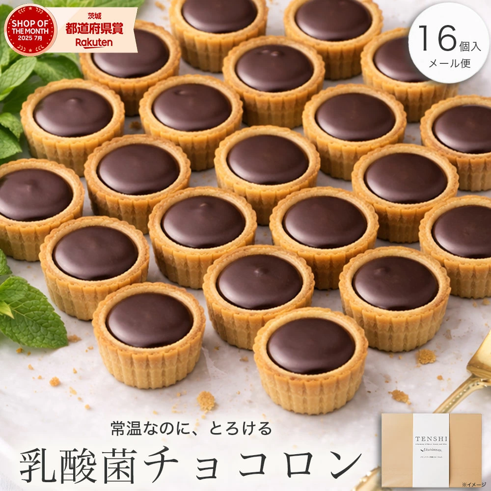 P3倍 2/25まで【高評価★4.6超】＼レンジでとろり／ 乳酸菌チョコロン 16個入 ホワイトデー お返し チョコ お菓子 クッキー スイーツ プチ ギフト 送料無料 個包装 おしゃれ ばらまき チョコタルト 大量 誕生日 引越し 退職 お礼 プレゼント 会社 職場 学校 子供 メール便